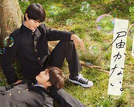 绥化seo优化如何做